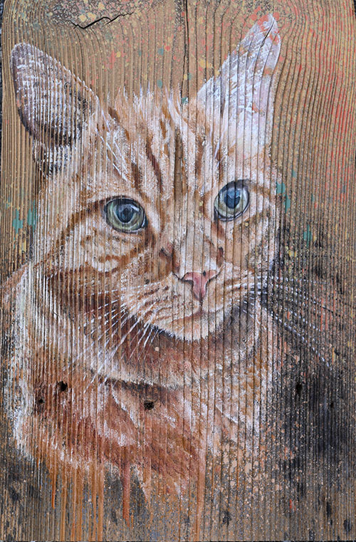 Gismo - Tierportrait auf Holz